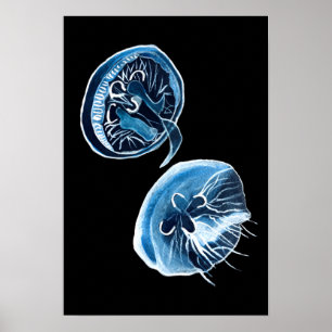 Affiche MoonJellyfish aquarelle art