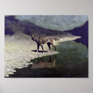 Affiche Moonlight Wolf