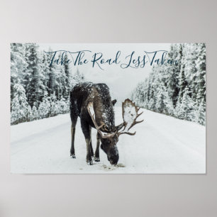 Affiche Moose En Hiver Sur Route Avec Devis