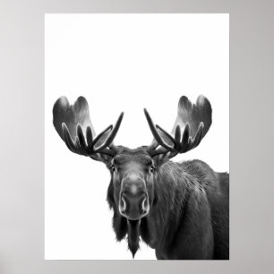 Affiche Moose Modern Portrait noir blanc
