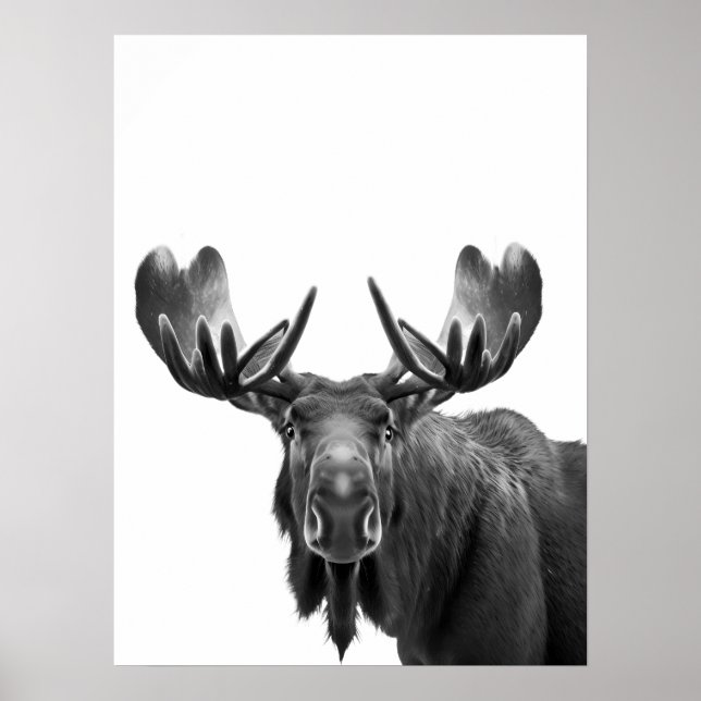 Affiche Moose Modern Portrait noir blanc (Devant)