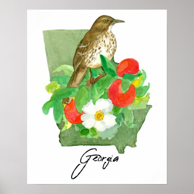 Affiche Moqueur roux, oiseau de l'État de Géorgie (Devant)