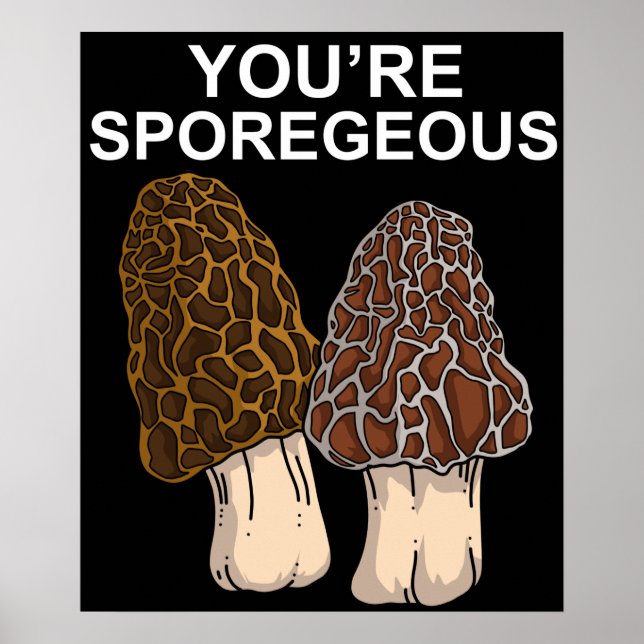Affiche Morel Mushroom (Devant)