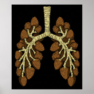 Affiche Morel Mushroom