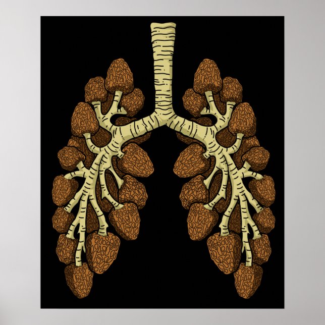 Affiche Morel Mushroom (Devant)