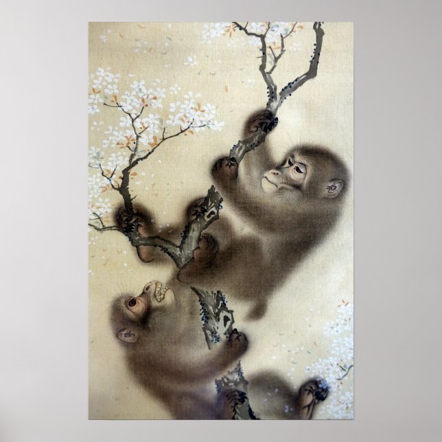 Affiche Mori Sosen Monkeys in a Blossoming Cherry Tree (Devant)