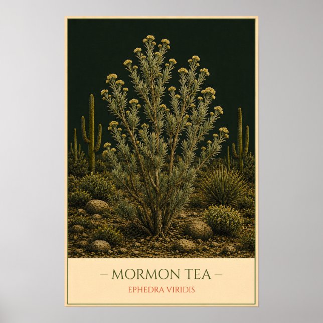 Affiche Mormon Tea (Devant)