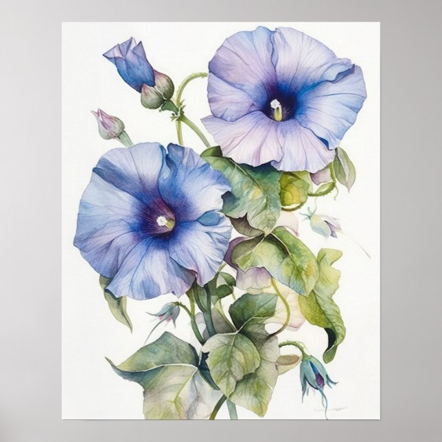 Affiche Morning Glory Flowers Art Imprimer l'affiche (Devant)