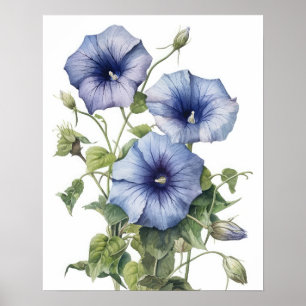 Affiche Morning Glory Flowers Art Imprimer l'affiche