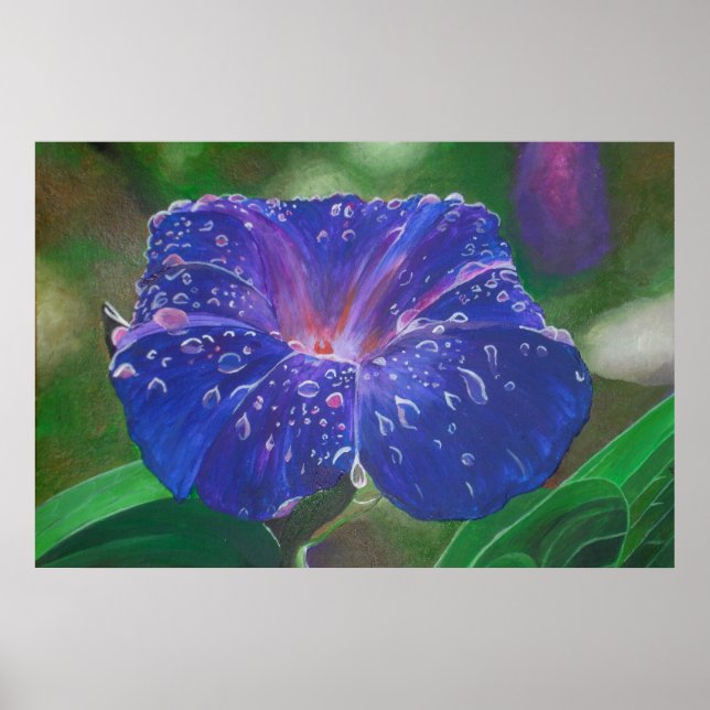 Affiche Morning Glory (Ipomoea Purpurea) Petals et Dew Dr. (Devant)