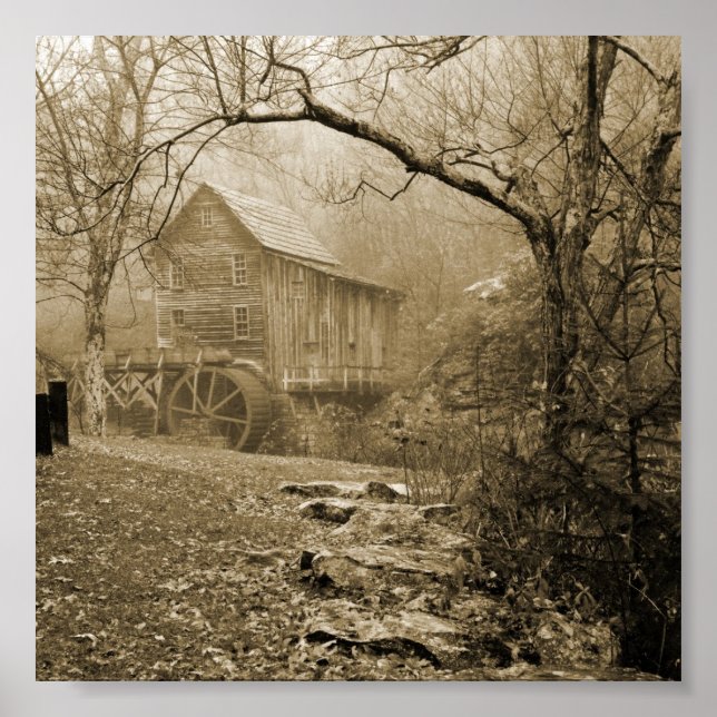 Affiche Morning Mist (Devant)