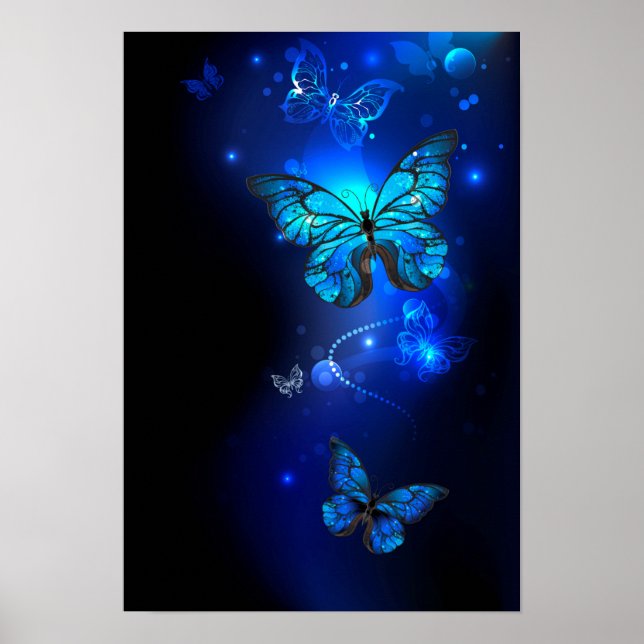Affiche Morpho Butterfly in the Dark Background (Devant)