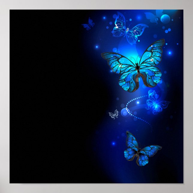 Affiche Morpho Butterfly in the Dark Background (Devant)