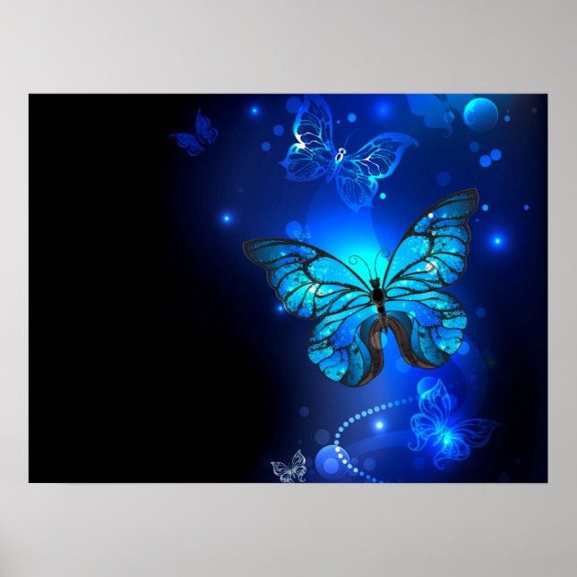 Affiche Morpho Butterfly in the Dark Background (Devant)