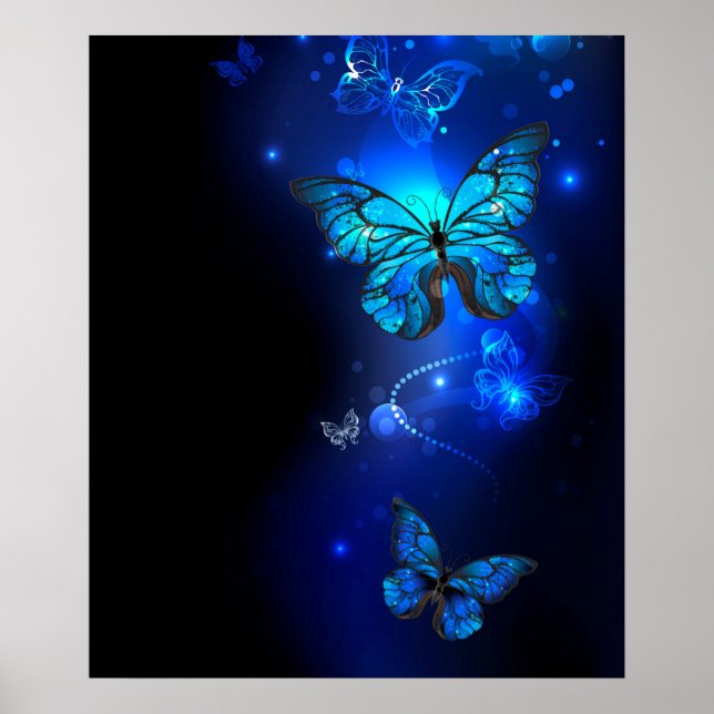 Affiche Morpho Butterfly in the Dark Background (Devant)