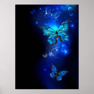 Affiche Morpho Butterfly in the Dark Background