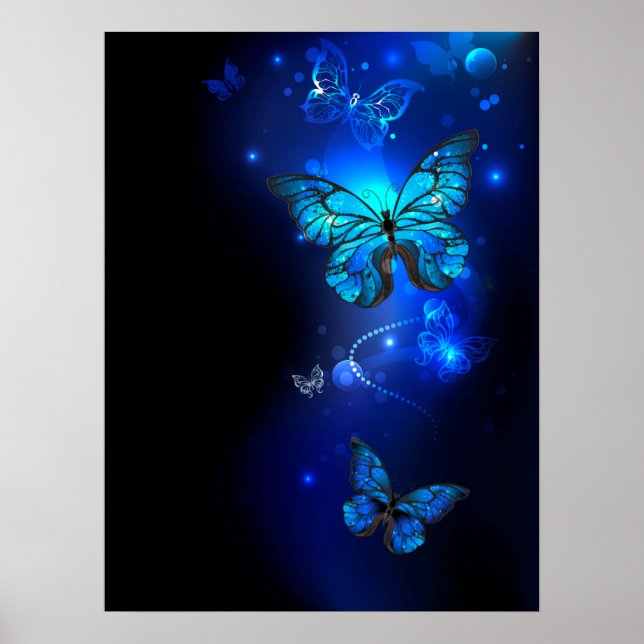 Affiche Morpho Butterfly in the Dark Background (Devant)