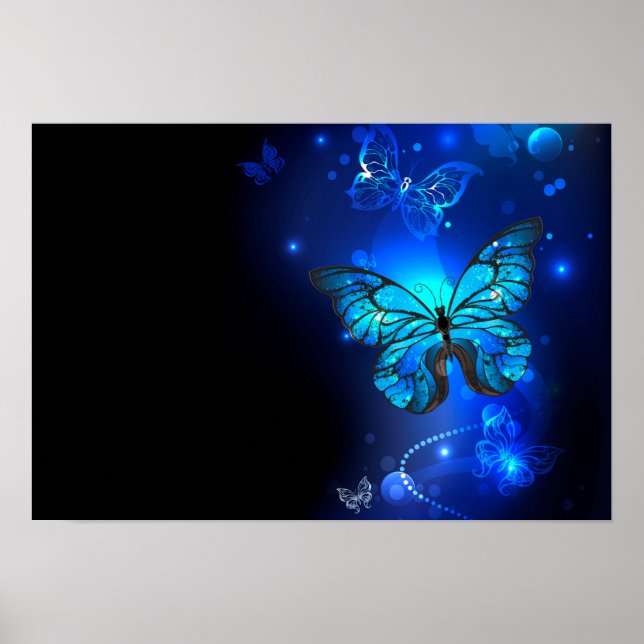Affiche Morpho Butterfly in the Dark Background (Devant)