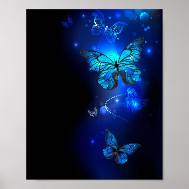Affiche Morpho Butterfly in the Dark Background (Devant)