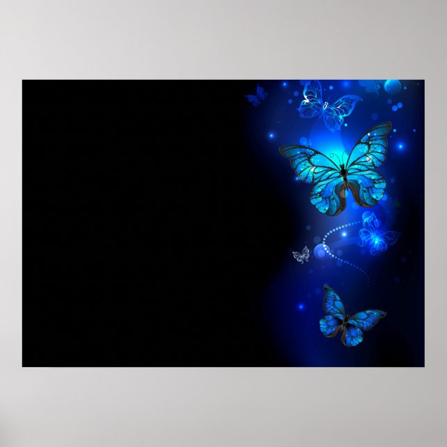 Affiche Morpho Butterfly in the Dark Background (Devant)