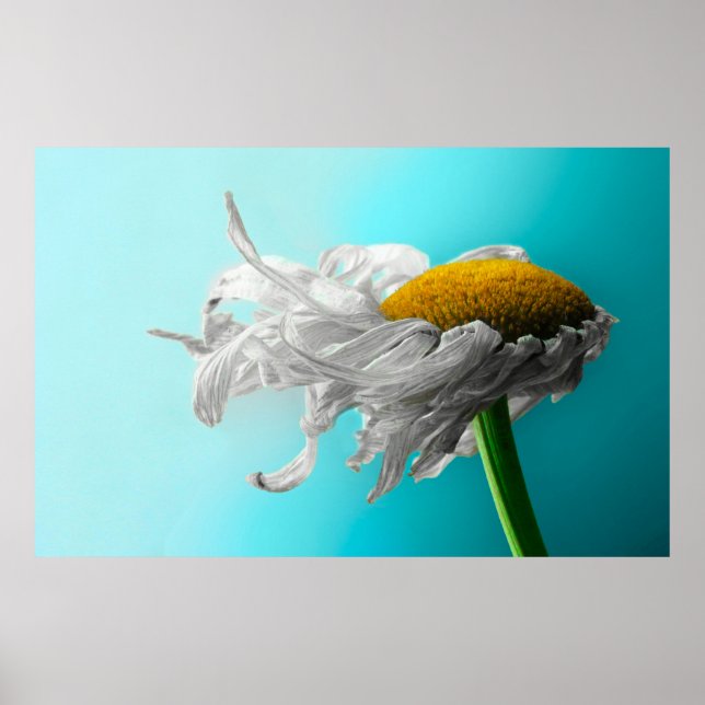 Affiche Mort Mort Fréquemment Mensonge (Devant)