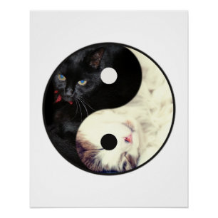 Affiche mosaïque Yin Yang Cats