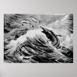 Affiche Mosasaurus Antique animale préhistorique Imprimer