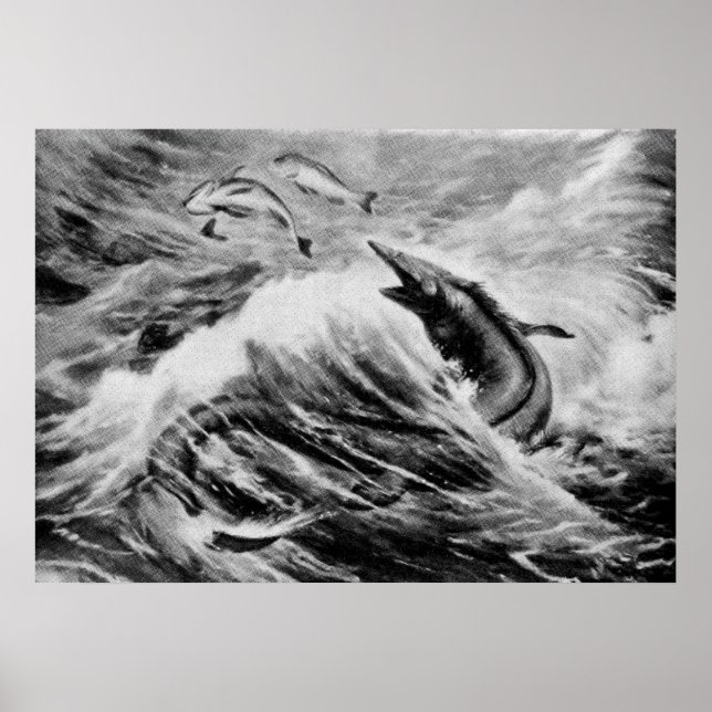 Affiche Mosasaurus Antique animale préhistorique Imprimer (Devant)