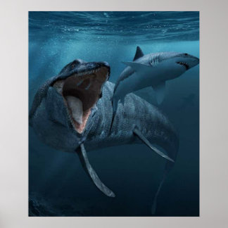 Affiche Mosasaurus pourchasse le requin