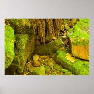 Affiche Moss and Stone – Chutes hongroises, péninsule supé