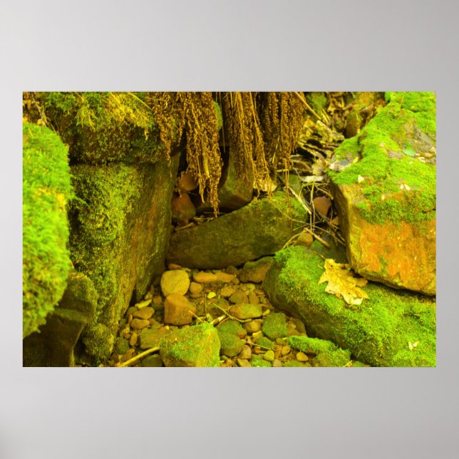 Affiche Moss and Stone – Chutes hongroises, péninsule supé (Devant)