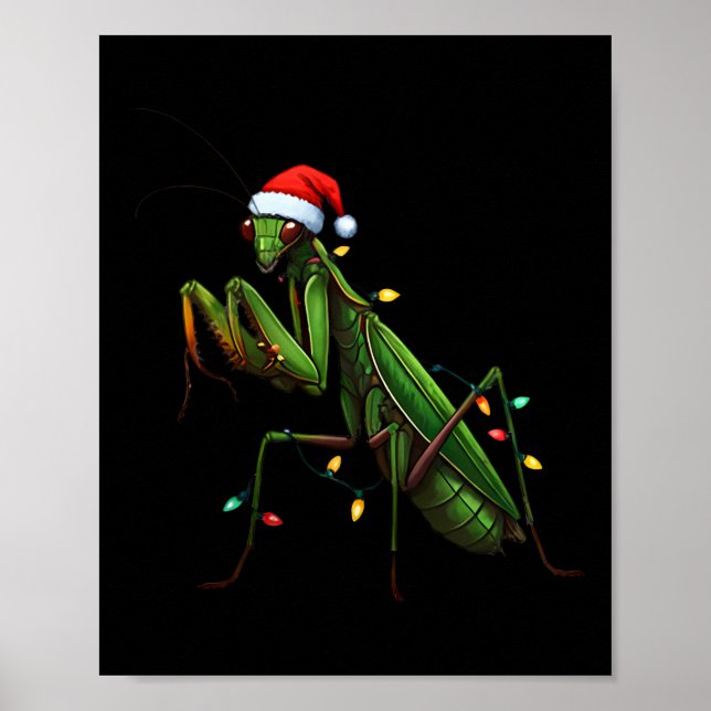 Affiche Moss Mantis Noël Lumière Santa Hat Animal Insec (Devant)
