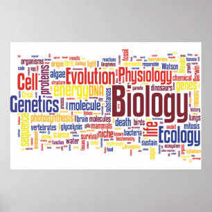 Affiche Mot bibliologique no 4