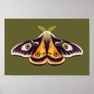 Affiche Moth Insect Art Goblincore Saturnia Witchy Green