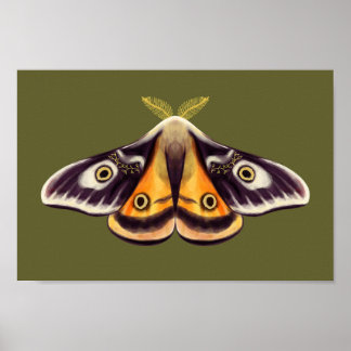 Affiche Moth Insect Art Goblincore Saturnia Witchy Green