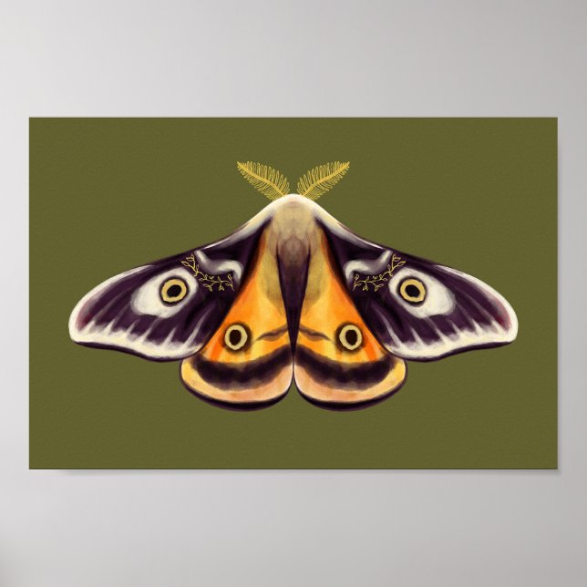 Affiche Moth Insect Art Goblincore Saturnia Witchy Green (Devant)
