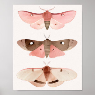 Affiche Moths pour bonne chance