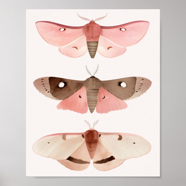 Affiche Moths pour bonne chance  (Devant)