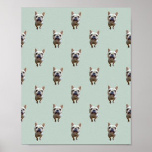 Affiche motif_2_bouledogue français_2_affiche mate