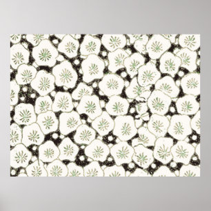 Affiche Motif Antique Fleur Blanche Japonaise