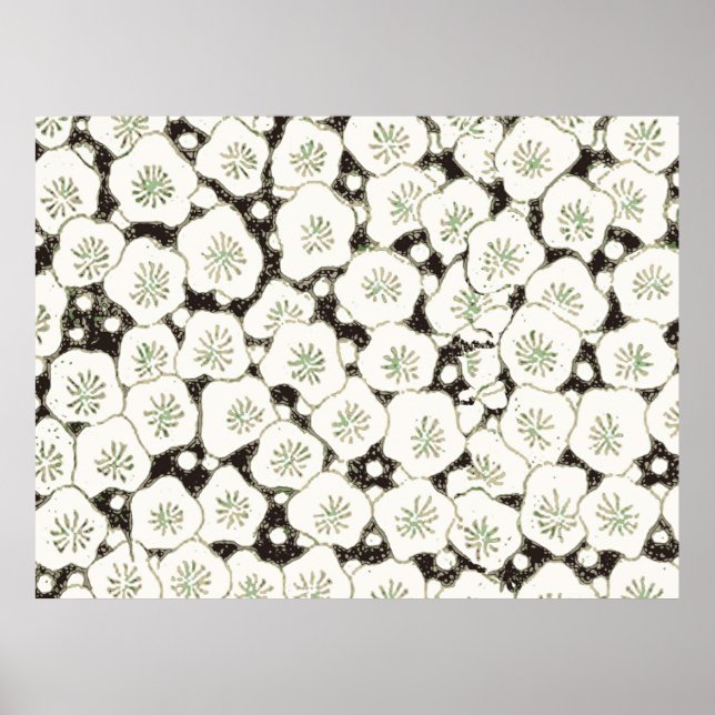Affiche Motif Antique Fleur Blanche Japonaise (Devant)