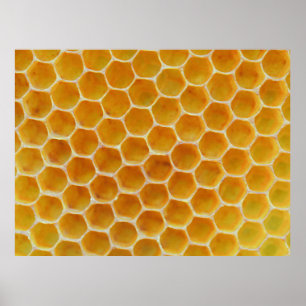 Affiche motif carré Brown et blanc