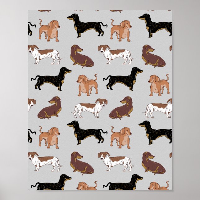 Affiche Motif chien Dachshund (Devant)