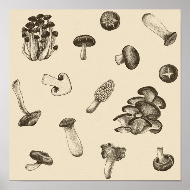 Affiche Motif de champignons (Devant)