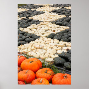 Affiche Motif de citrouille et de courge, Allemagne