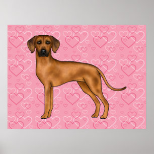 Affiche Motif de cœur d'amour de chien Rhodesian Ridgeback
