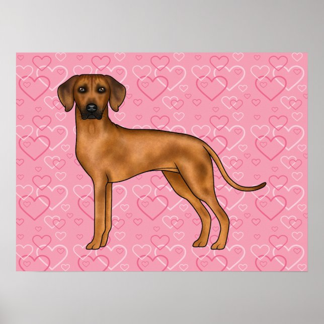 Affiche Motif de cœur d'amour de chien Rhodesian Ridgeback (Devant)
