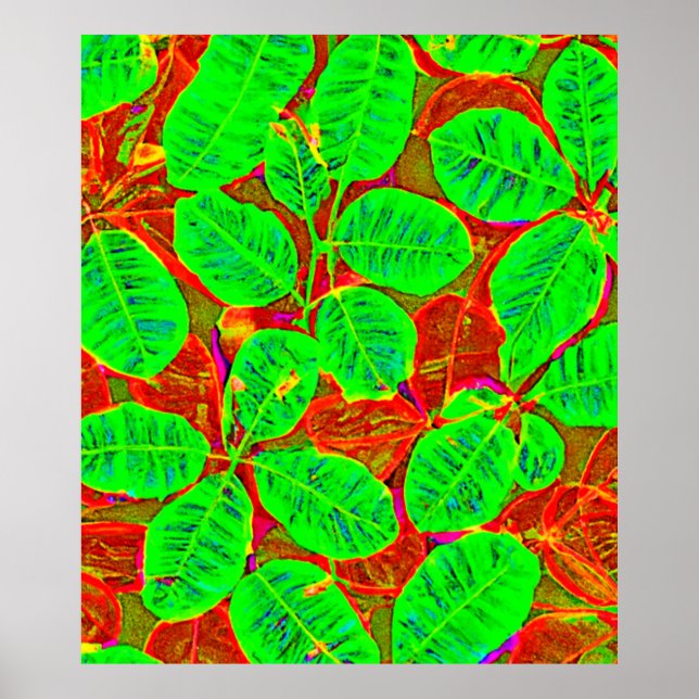 Affiche Motif de feuille verte luxuriante (Devant)