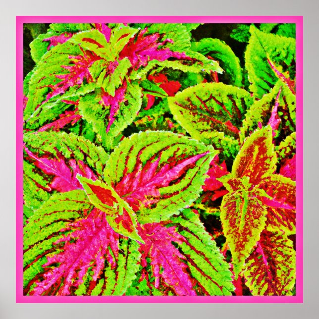 Affiche Motif de feuilles de la nature vibrante (Devant)