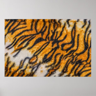 Affiche Motif de fond à motif tigre, tigre, abstrait